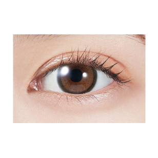 MOLAK Toric(散光) Brown Bunny モラク トーリック ブラウンバニー